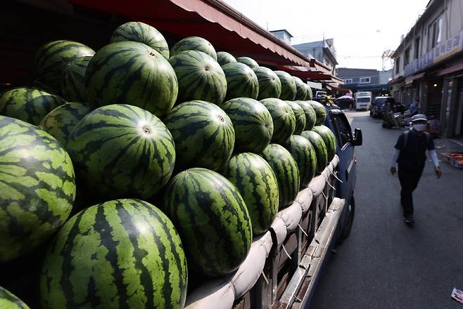 사진은 서울 시내 한 재래시장 트럭에 실린 수박. 사진은 본 기사와 무관함. [사진 출처 = 연합 뉴스]