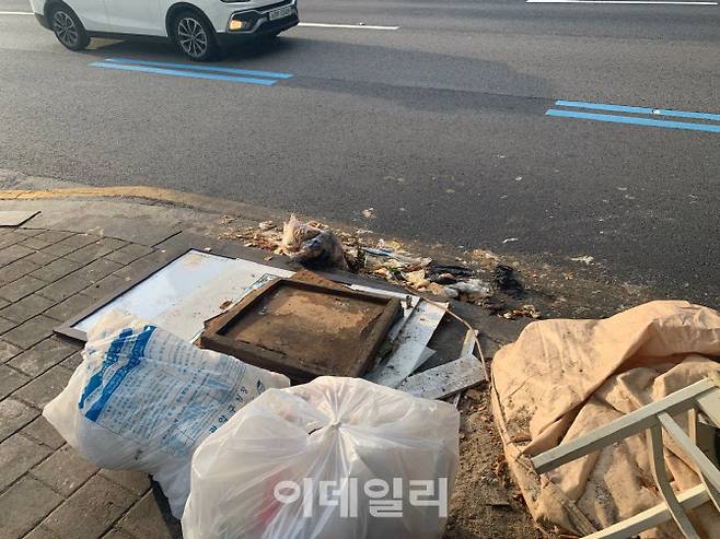 서울 관악구 대로변에 버려진 무단투기 쓰레기 더미의 모습. 음식물 쓰레기는 종량제 봉투가 터져 내용물이 그대로 흘러나와 악취가 발생하고 있다.(사진=조민정 기자)