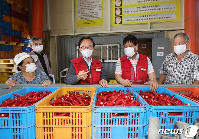 전북 임실군의 대표 특산물인 '홍실 고추' 수매가 본격 시작됐다. 올해 수매 계획량은 총 1450톤이다.(임실군 제공)2021.8.2/© 뉴스1