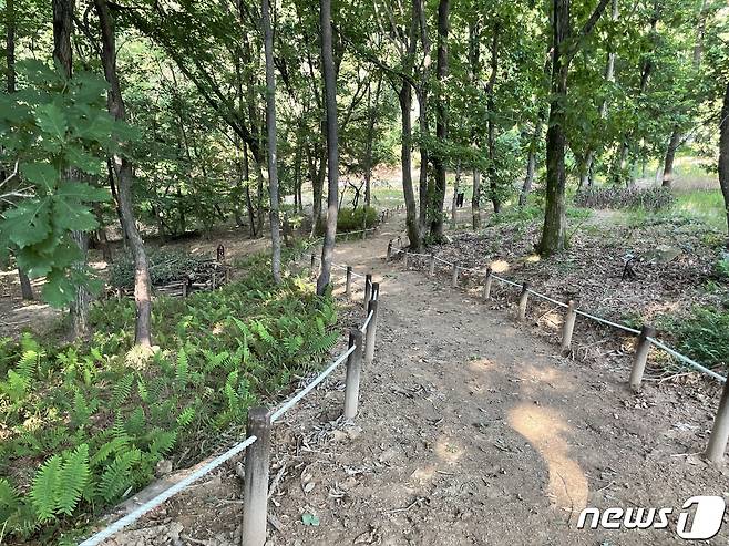 복원이 완료된 정광산 애호랑나비 북방산개구리 서식지 일원.(용인시 제공) © News1