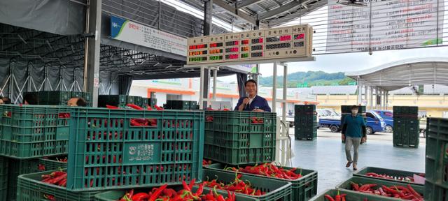 안동시 서안동농협 박영동 조합장이 올해 첫 홍고추 경매 시작을 선언하고 있다.