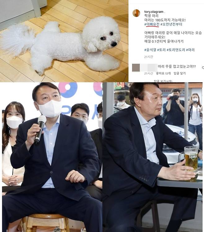 윤석열 전 검찰총장은 이른바 '쩍벌' 습관에 비판이 쏟아지자 4일, 자신의 반려견 인스타그램인 '토리스타그램'에 반려견 마리도 다리를 쩍 벌리는 습관이 있다며 '앞으로 고쳐 나가겠다'고 셀프 디스해 눈길을 끌었다. (SNS 갈무리) © 뉴스1