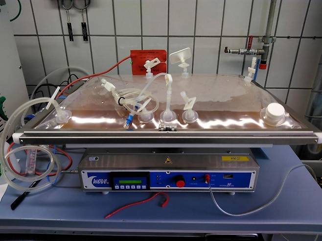바이오리액터 안에서 증식된 뒤 섞이고 있는 코코아 세포 배양 조직.ⓒ취리히응용과학대학 제공