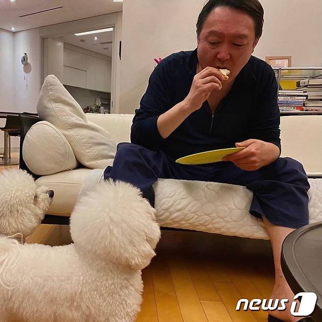 윤석열 후보가 인스타그램에 올린 반려견 토리, 마리와의 사진. '아빠만 먹어서 미안 갔다와서 맛있는 간식 줄게'라고 적었다.