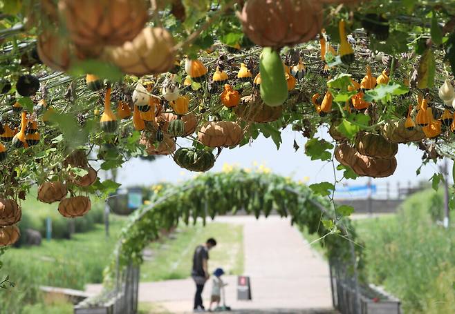 A family stands under an arch adorned with pumpkin and calabash vines at Seoul Sky Park on Friday. (Baek So-ah/The Hankyoreh)