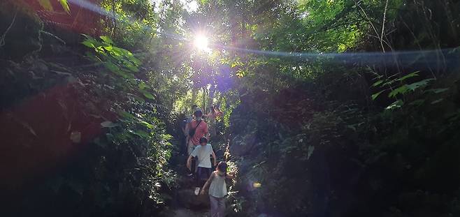 Visitors at Hwansang Forest Gotjawal Park walk down to one of the biggest “sumgol” zones at the park. (Kim Hae-yeon/The Korea Herald)