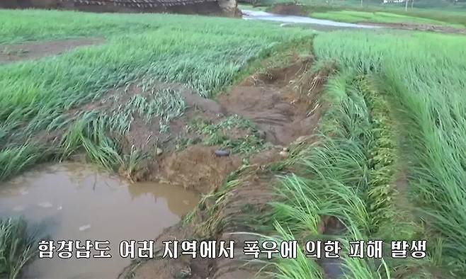 북한 함경남도 곳곳에서 폭우가 이어지면서 주민 5천명이 긴급 대피하고 주택 1천170여호가 침수됐다고 조선중앙TV가 지난 5일 보도했다. 사진은 물에 잠긴 농경지. 연합뉴스