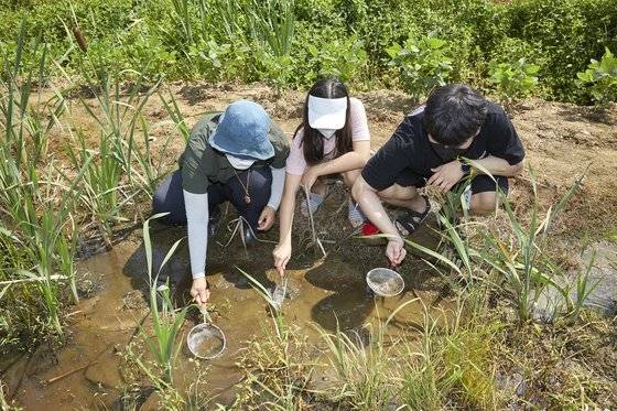 논 주변 웅덩이에서 양동희 선생님과 함께 루페로 관찰할 생물들을 채집 중인 소중 학생기자단.