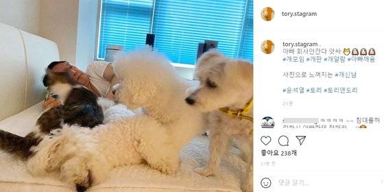윤석열 전 총장이 6일 자신의 반려견 전용 인스타그램(SNS)인 '토리스타그램'에 침대 위 반려견들에게 둘러싸인 사진을 공개했다. 사진에는 "아빠 회사 안간다 앗싸"라는 글과 함께 #개모임, #개판, #개알람, #아빠깨움, #개신남이라는 해시태그도 덧붙였다. 뉴스1