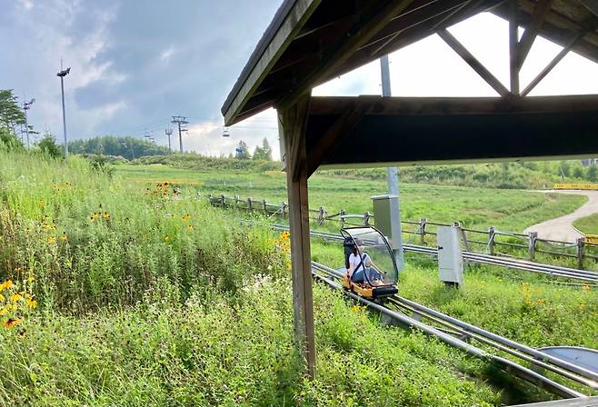 A tourist enjoys her ride on Alpine Coaster at Alpensia Resort (Im Eun-byel / The Korea Herald)