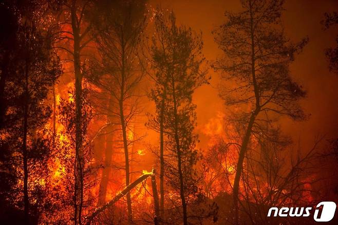 (페프키 AFP=뉴스1) 우동명 기자 = 8일(현지시간) 산불이 확산되고 있는 그리스에서 2번째로 큰 섬인 에비아의 페프키에서 불길이 마을을 향해 접근을 하고 있다.   (C) AFP=뉴스1