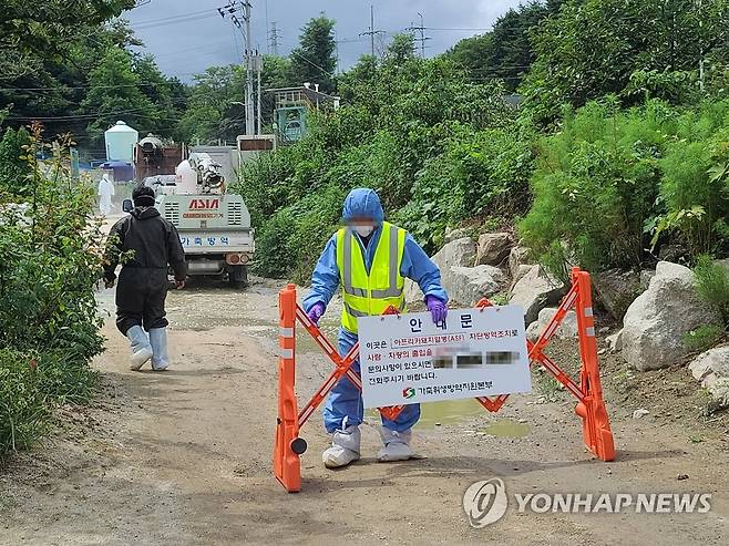 ASF 발생농장 분주한 방역요원들 (강원 고성=연합뉴스) 이종건 기자 = 지난 8일 아프리카돼지열병(ASF)이 발생한 강원 고성군의 한 양돈농장에서 방역요원들이 분주히 움직이고 있는 모습. [연합뉴스 자료사진]