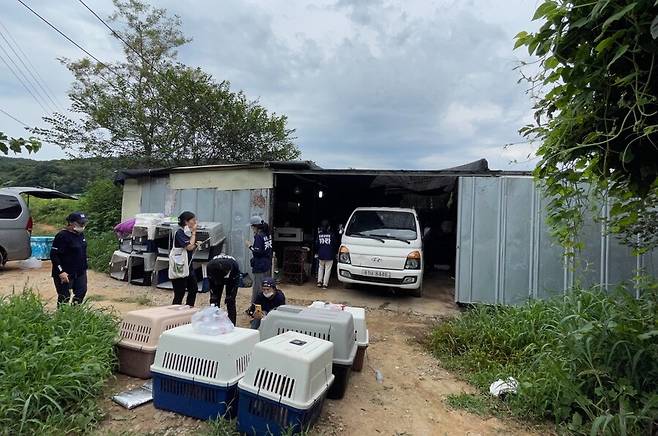 불법 도살장은 산 속 깊은 곳에 숨어 있었다.