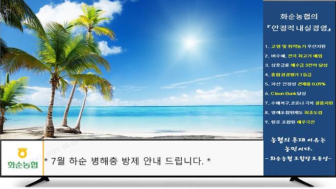 KT, 집에서 마을소식·농업정보 보는 'IPTV 알림마당' 인기