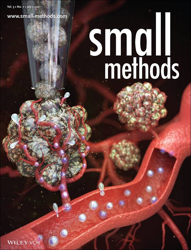 이번 연구결과가 게재된 국제학술지 '스몰 메소드' 표지.[포스텍 제공]