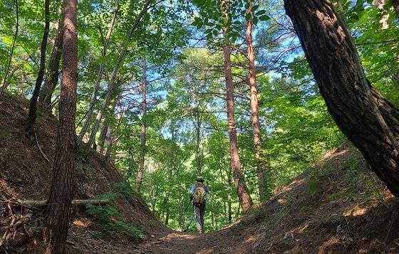 보부상길은 옛길이다. 옛길은 이렇게 다 움푹 패였다.