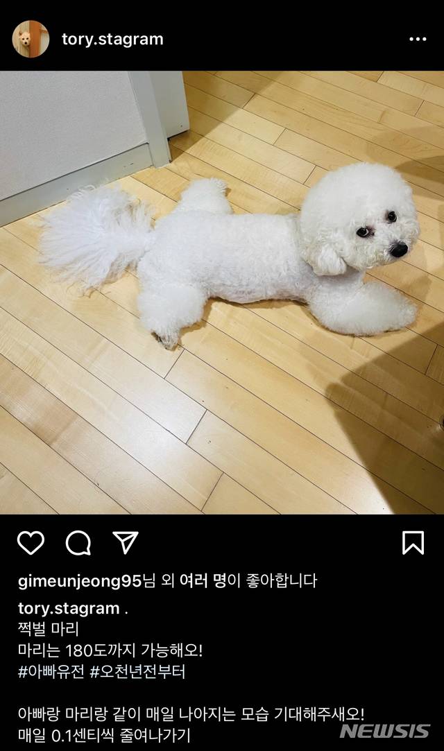 [서울=뉴시스] 윤석열 토리 인스타그램. 2021.08.13.