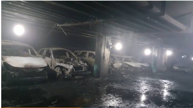 뉴스1 영상 캡처