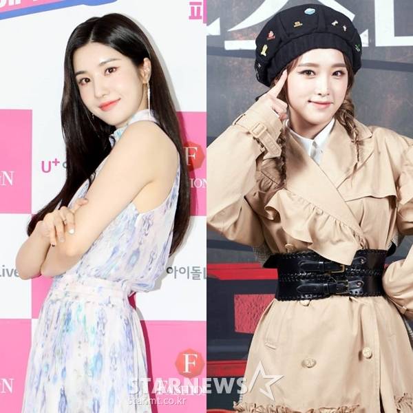 /사진 =스타뉴스 DB