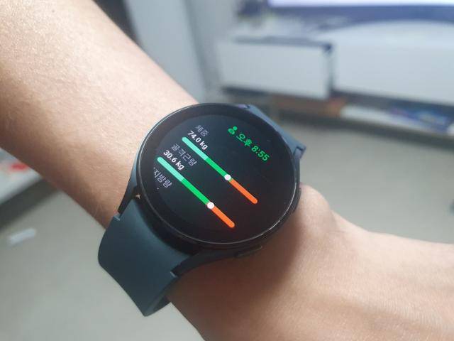 갤럭시워치4에서는 헬스장에서나 가능했던 체성분 측정 기능이 추가됐다. 안하늘 기자