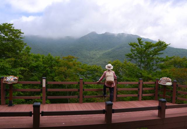 전남 보성 제암산 자연휴양림 / 사진 = 한국관광공사