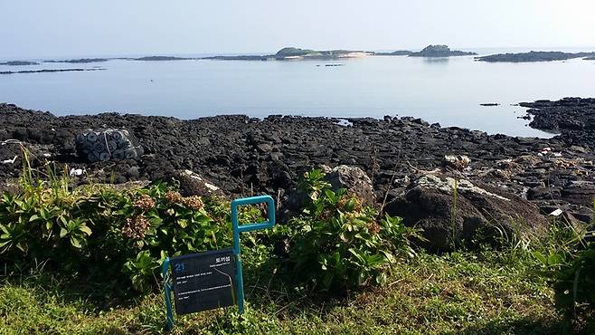 제주 올레길 21코스 / 사진 = 한국관광공사