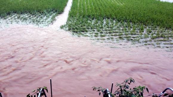 농경지로 콸콸 - 호우 경보가 내려지면서 게릴라성 집중호우가 쏟아진 18일 강원 강릉 시내에서 빗물이 농경지로 유입되고 있다. 2021.8.18 연합뉴스