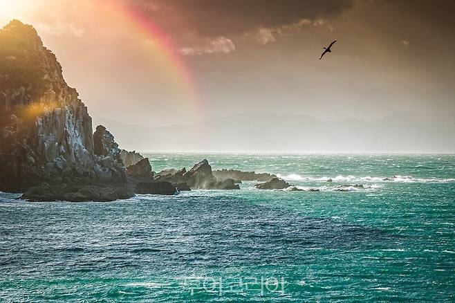 아벨 태즈먼 국립공원(Abel Tasman National Park)의 파도 치는 바다 ⓒLukasz Larsson Warzecha