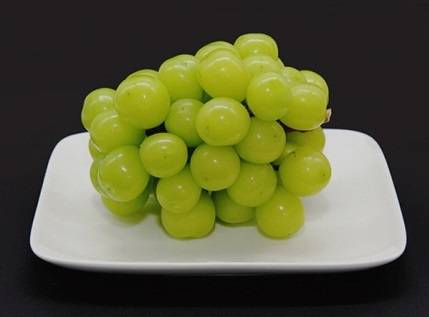 샤인머스캣 [사진출처 : SSG닷컴]