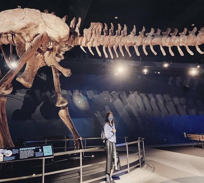 Son Tae-young posted a photo on his Instagram on Monday with an article entitled You Friend # Our Friend as planned, as planned, #Natural History Museum, London # Gunshot #In the photo, Son Tae-young is looking for United States of America New York City Natural History Museum with children.Son Tae-young married Actor Kwon Sang-woo in 2008 and has one male and one female.The Son Tae-young Kwon Sang-woo family currently resides in United States of America.