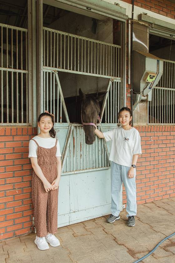 도핑 검사소 옆에서 만난 은퇴한 경주마. 우리나라 경마에 사용되는 경주마는 대부분 서러브레드종이다.