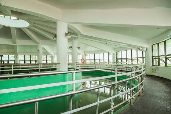 말 전용 수영장의 모습. 수영은 말의 심폐 강화 및 다리 근육 발달에 효과적이다.