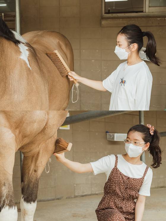 말의 털에 솔질하며 말 관리사 업무의 일부를 체험한 강지민 학생기자와 유지민 학생모델.