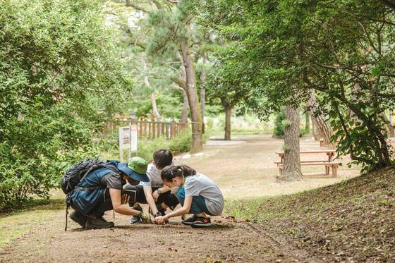 숲에 있는 개미굴을 살펴보는 소중 학생기자단. 나무가 울창하게 우거진 숲은 여러 종류의 동물과 곤충의 보금자리이기도 하다.