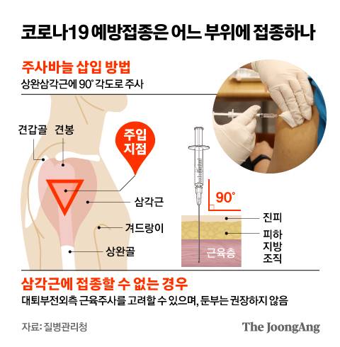 코로나19 예방접종은 어느 부위에 접종하나. 그래픽=김영옥 기자 yesok@joongang.co.kr