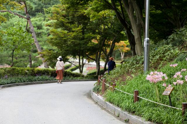 ‘김영삼 대통령 산책로(민주화의 길)’를 관람객들이 걷고 있다. 대청호 옆 평지로 이어진 ‘민주화의 길’은 청남대에서 관람객들이 가장 즐겨 찾는 산책로다.