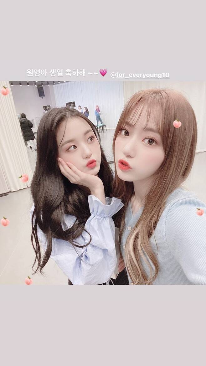 Miyawaki Sakura, from IZ*ONE, celebrated Jang Won-youngs birthday.On the 31st of last month, Miyawaki Sakura released a picture taken with Jang Won-young through his Instagram story.He then tagged Jang Won-youngs Instagram account and congratulated Jang Won-young on August 31, writing Happy Birthday to Won Young-a.The two men debut to IZ*ONE through Mnet Produce 48, each of them in charge of the second and youngest of the team.On the other hand, Miyawaki Sakura recently got a lot of attention with the news that she was joining the girl group of Hive label.In addition, Jang Won-young has been informed that he will join Ahn Yoo-jin in a new girl group to be launched at Starship Entertainment in the second half of this year.star* Star receives a report related to entertainers and entertainment workers.Please call me anytime. Thank you.