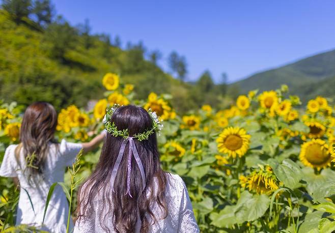 구와우마을에서 기념촬영을 하고 있는 여성들 [사진/성연재 기자]
