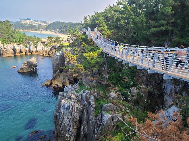 추암해상 출렁다리. 사진 왼편 언덕(주민들은 용뫼라고 부르기도 한다) 꼭대기에 능파대 정자가 지어졌다. 한명회가 능파라는 이름을 붙인지 560여년 만이다.