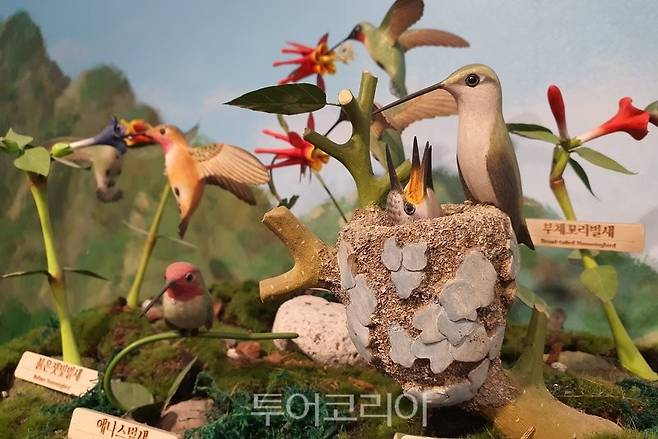 '세계의 조류'의 벌새 목각