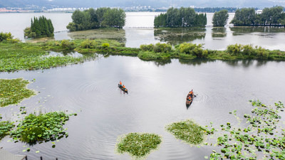 Aerial photo shows that maintenance staff work in the Yongchang Wetland Park by the Dianchi Lake in Kunming, capital city of southwest China's Yunnan Province (PRNewsfoto/Xinhua Silk Road)