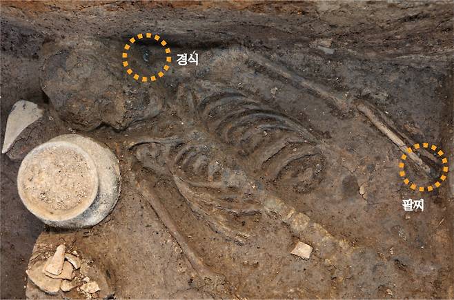 경주 왕성인 월성 서성벽 발굴 조사 과정에서 추가로 발굴된 여성 인골. 얼굴 주변에 목에 거는 장식품인 경식과 아래팔 뼈에 팔찌가 보인다.  국립경주문화재연구소 제공