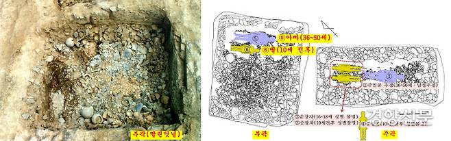임당유적에서 확인된 또다른 순장무덤(5세기 초반).  이 무덤의 부곽에 순장된 성인 남성(36~50세)과 10세 전후의 여자아이는 아빠와 딸 관계인 것으로 드러났다. 주곽에는 성인남성(36~50세)으로 보이는 무덤 주인공 주변에 10대 전후의 순장자들이 보인다. 그러나 성별을 알 수 없다. |영남대박물관 제공