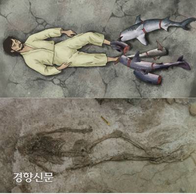 임당유적에서 순장자의 발밑에 묻어둔 상어를 순장자와 함께 복원한 모습. 임당 고분에서 다양한 제사 음식 가운데 특히 많은 양의 상어뼈가 눈에 띈다. 연구자들은 상어고기를 토막내어 소금에 절인 돔배기를 떠올린다. 경상도 내륙지방 사람들이 즐겨 먹는 ‘돔배기’가 2000~1500년전 사람들도 즐겼을 것이다.|국립대구박물관 복원