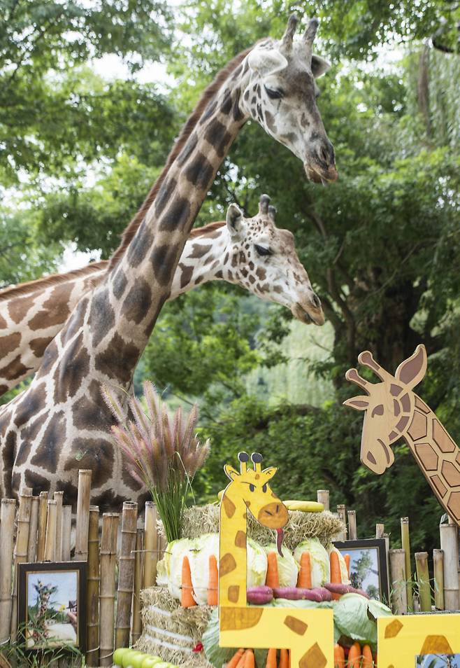 장순의 생일 축하 케잌