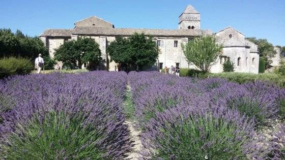 라벤더가 곱게 핀 7월의 모졸 수도원. [사진 연경 제공]