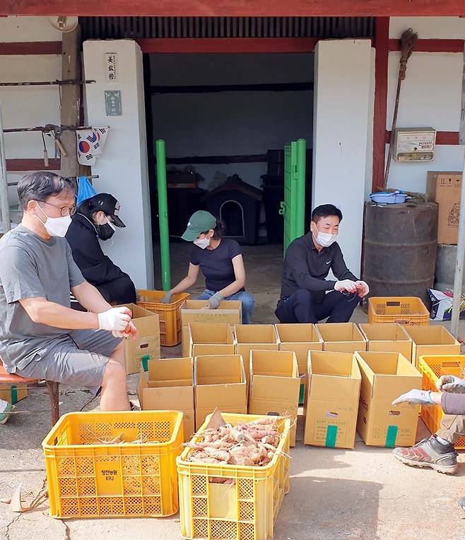 NH농협무역 임직원들이 지난 9일 충남 당진 고구마 재배농가를 방문하여 고구마 수확 일손돕기를 실시했다.(오른쪽 NH농협무역 김재기 대표이사) 농협 제공