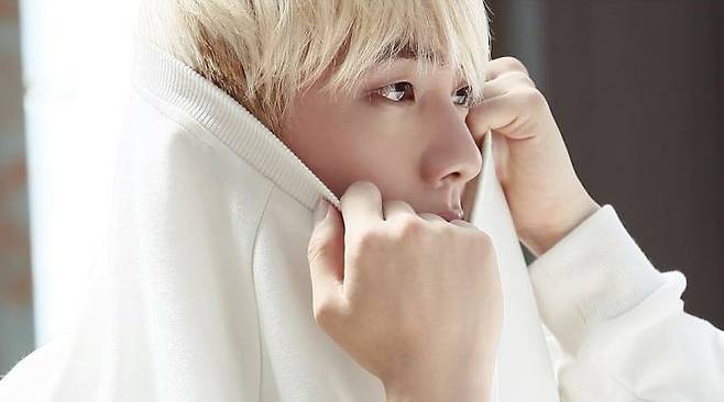 방탄소년단 진(BTS JIN)