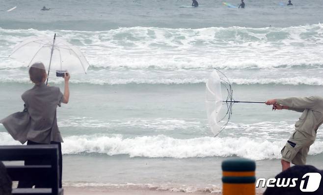제14호 태풍 '찬투(CHANTHU)'가 북상 중인 13일 오전 제주시 월정해수욕장에서 관광객이 든 우산이 강풍에 뒤집히고 있다. 현재 제주도 남쪽 먼 바다에는 태풍주의보가 발효됐으며 제주도 산지에는 강풍주의보, 제주도 산지와 동·남부에는 호우주의보, 제주도 동·서·남부 앞바다에는 풍랑주의보가 각각 발효 중이다. 2021.9.13/뉴스1 © News1 오현지 기자