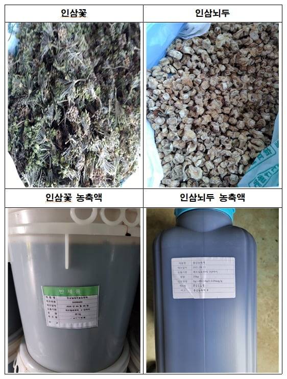 인삼꽃‧인삼뇌두 제품과 농축액 사진 (식약처 제공)